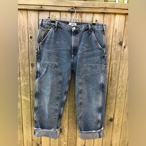 AGOLDE carpenters pant